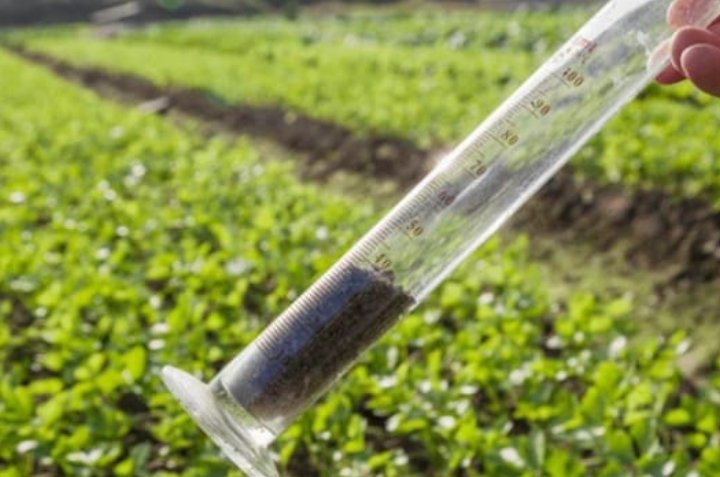 untitled design 2025 10 03t120125.391